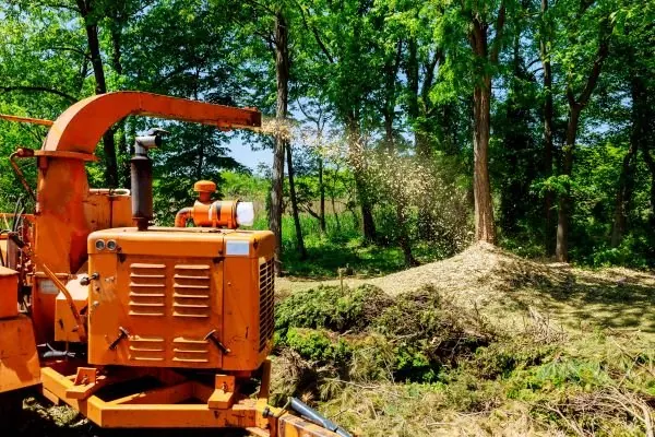 Tree crew equipment and work in progress