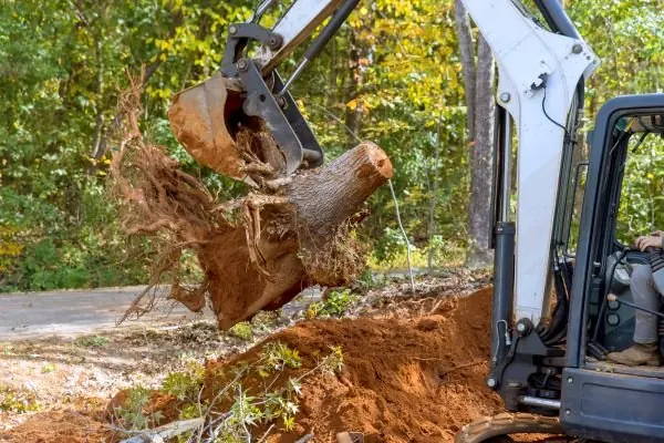 Tree crew equipment and work in progress